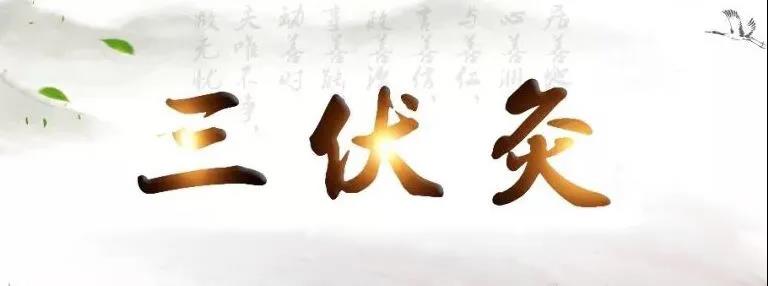 艾灸冬病夏治，春夏養陽(yáng)，三伏灸果真如此神奇？