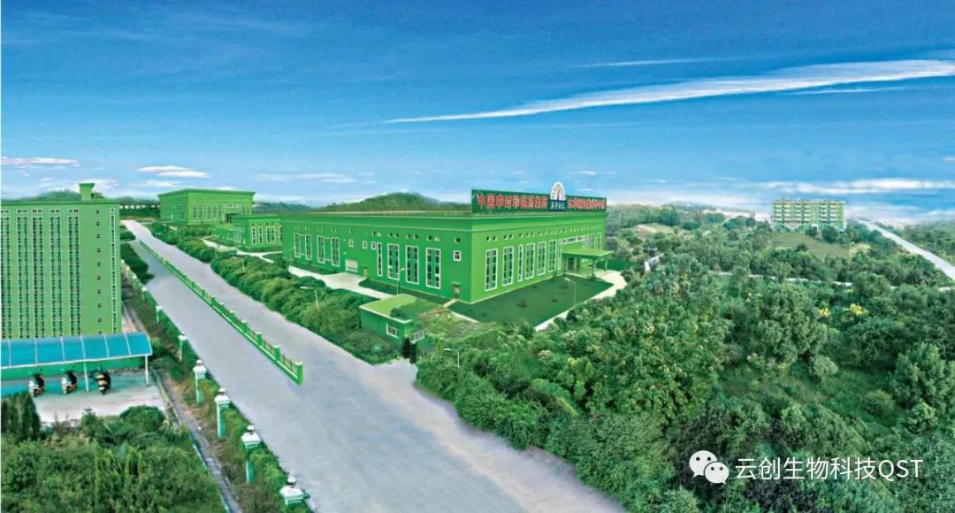 專(zhuān)業(yè)專(zhuān)注，匠心可見(jiàn)——云創(chuàng  )蘄善堂考察團前往李時(shí)珍醫藥集團考察