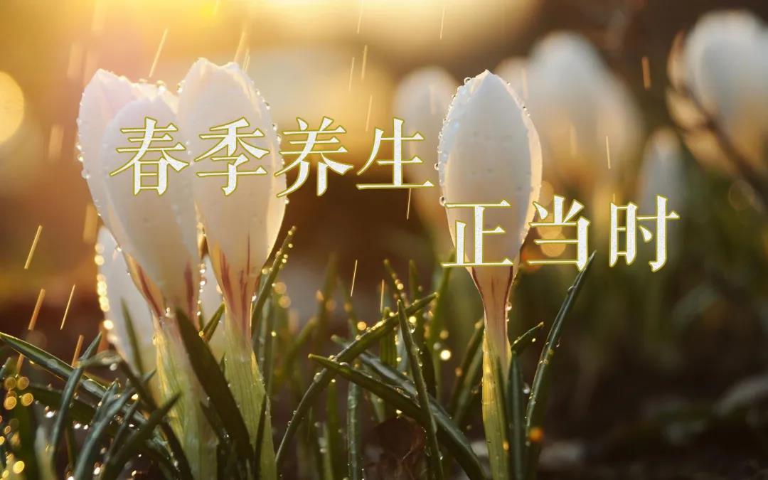 春天艾灸，陽(yáng)上增陽(yáng)，這些技巧別錯過(guò)！