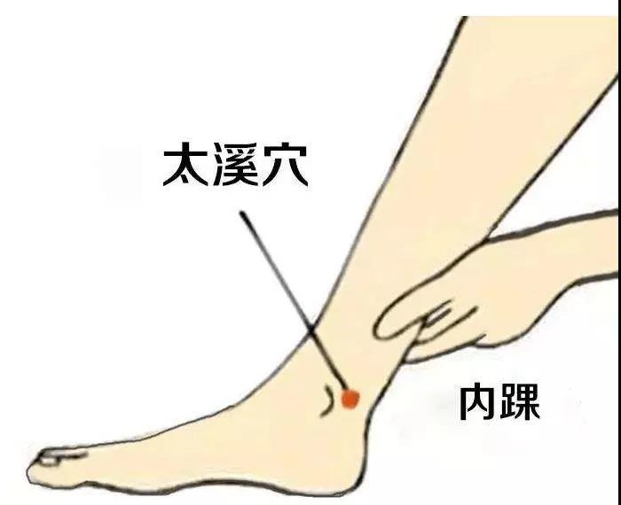 護腎養腎？這六大穴位就夠了！