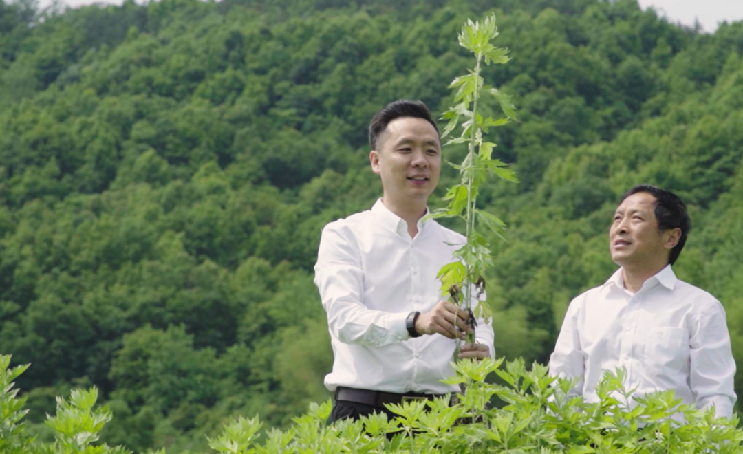 聞艾識端午，巧手納香囊——蘄善堂端午節文化傳承活動(dòng)誠邀您的參與！